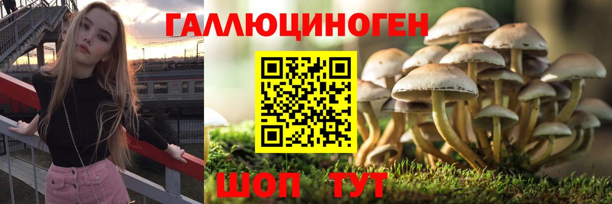 Ялуторовск  даркнет сайт  Галлюциногенные грибы Psilocybine cubensis  Вход с VPN  Псилоцибиновые грибы Magic Shrooms 